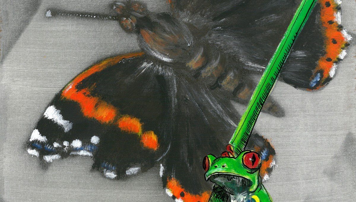 Butterfly & Frog