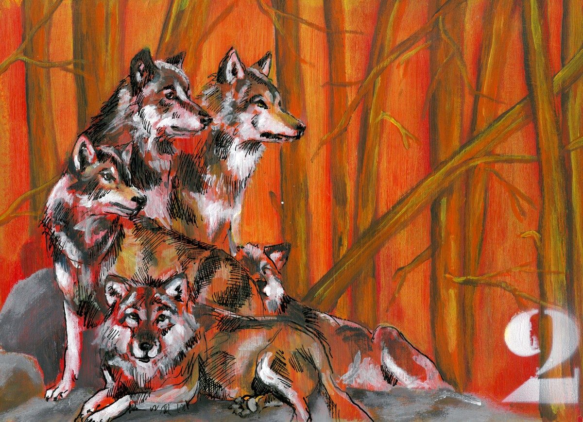 The Wolves