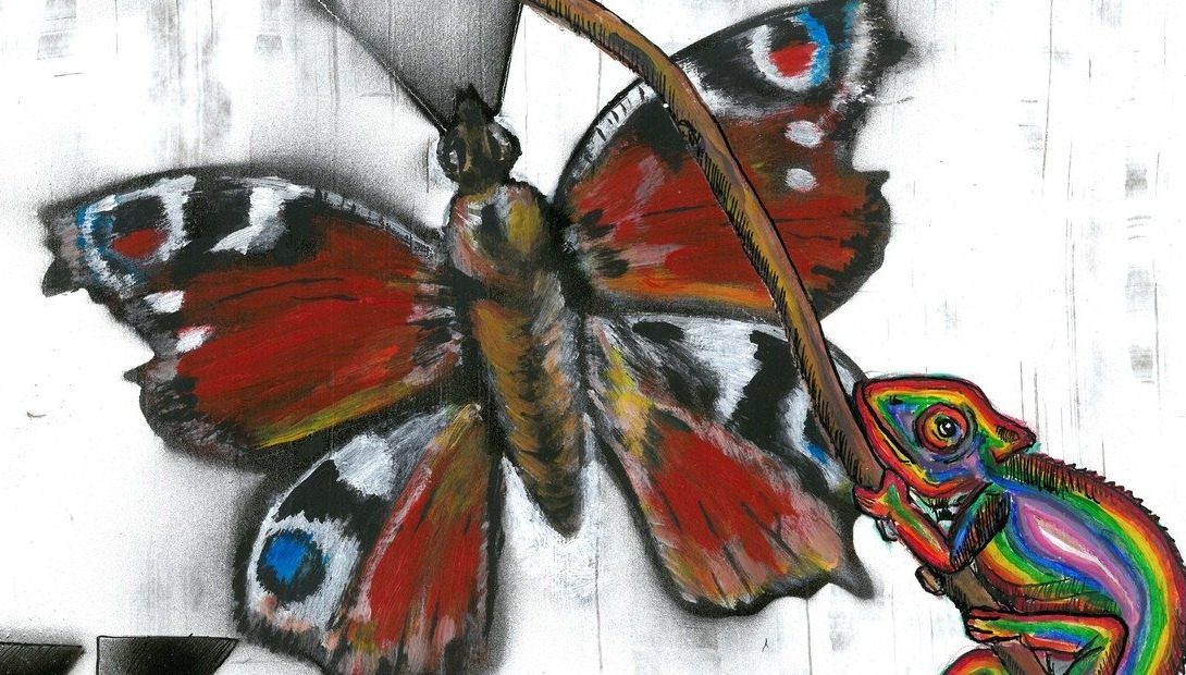Butterfly & Chameleon
