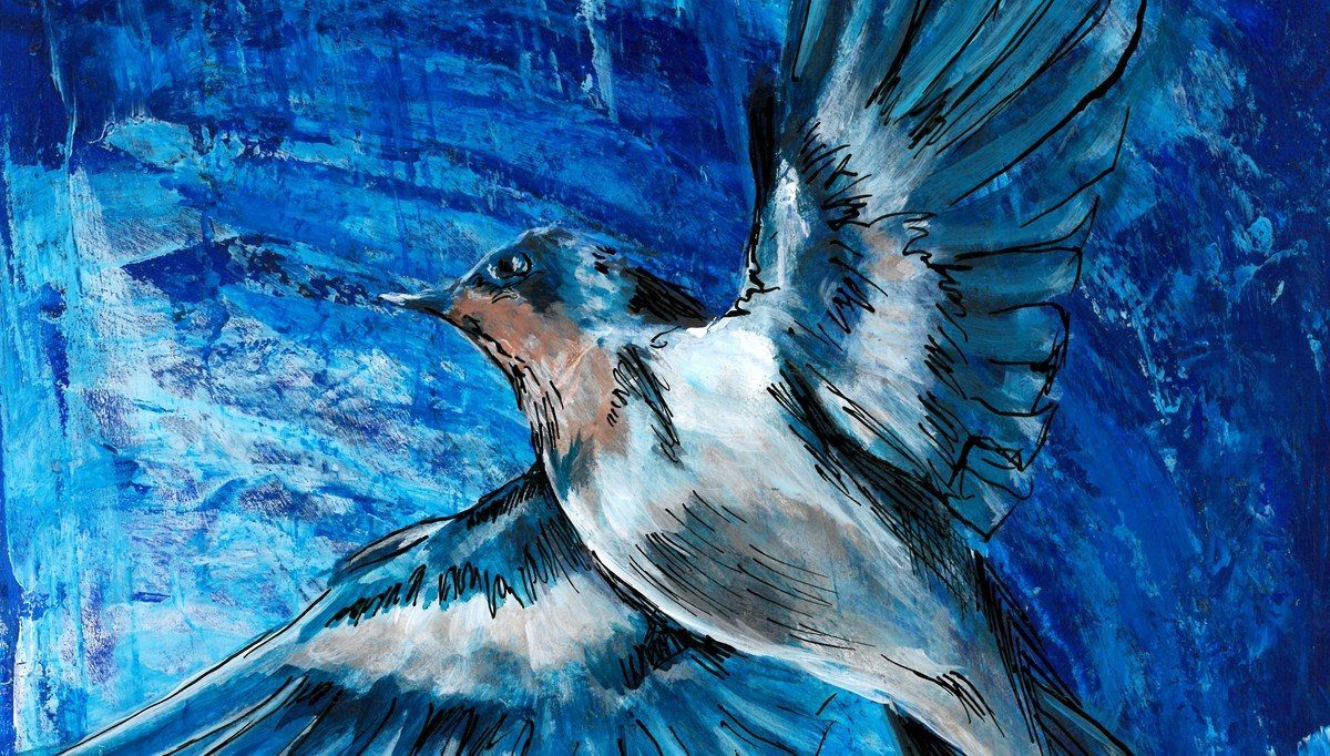 The Swallow