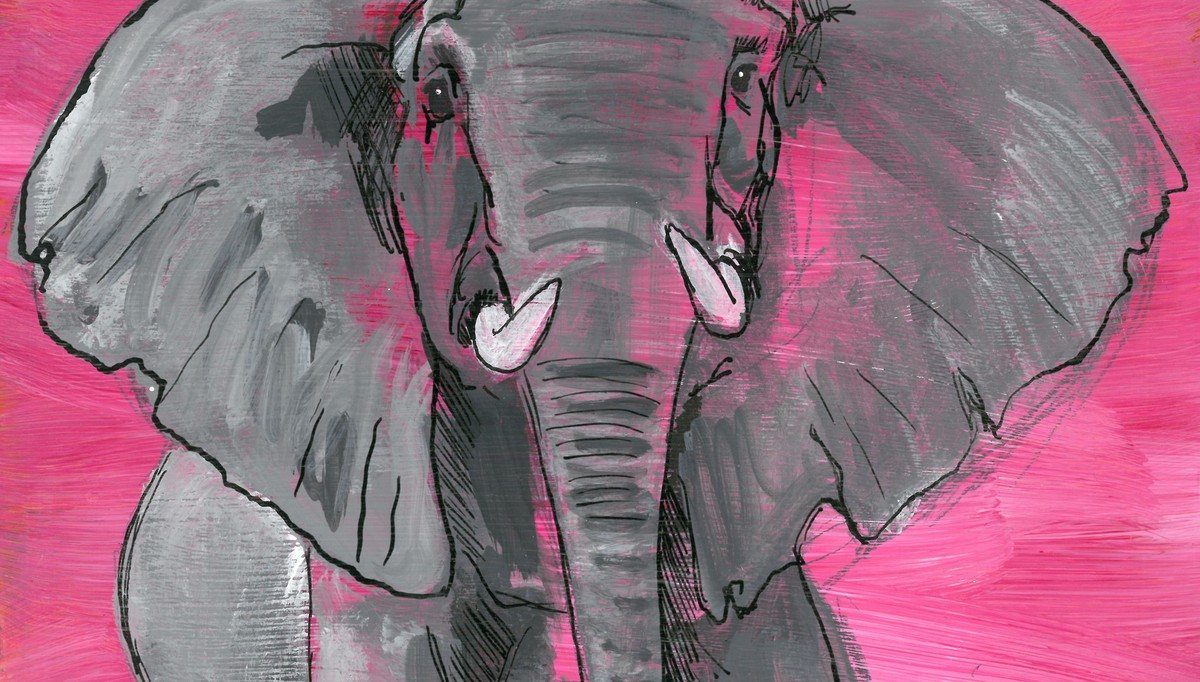 The Elephant